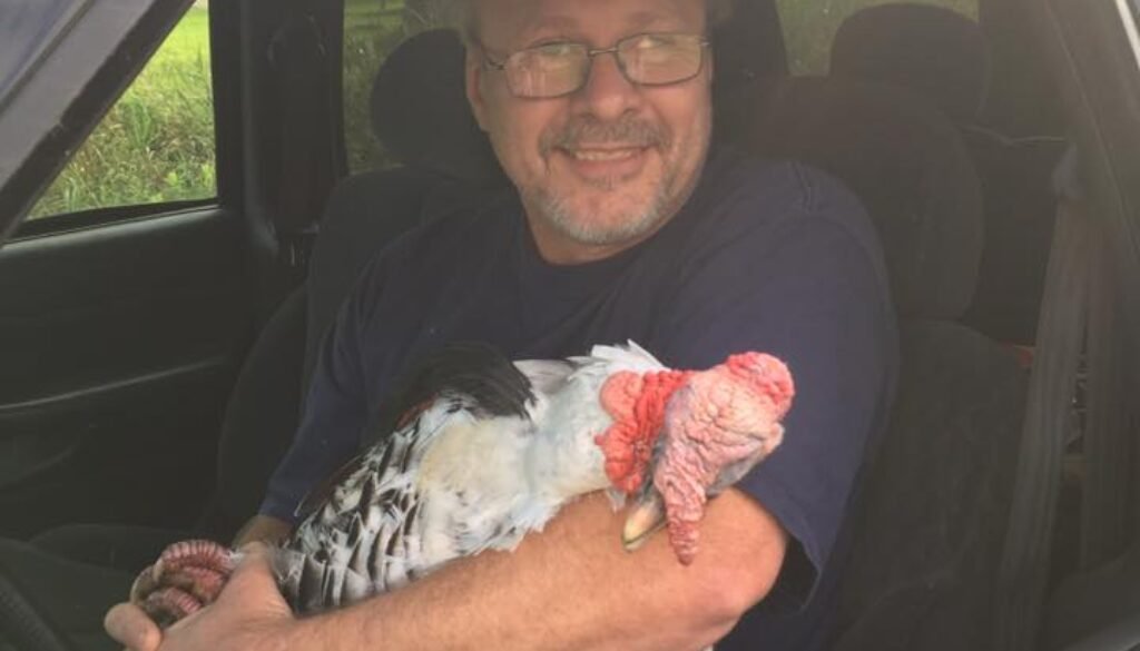I've Got the Turkey Bob
