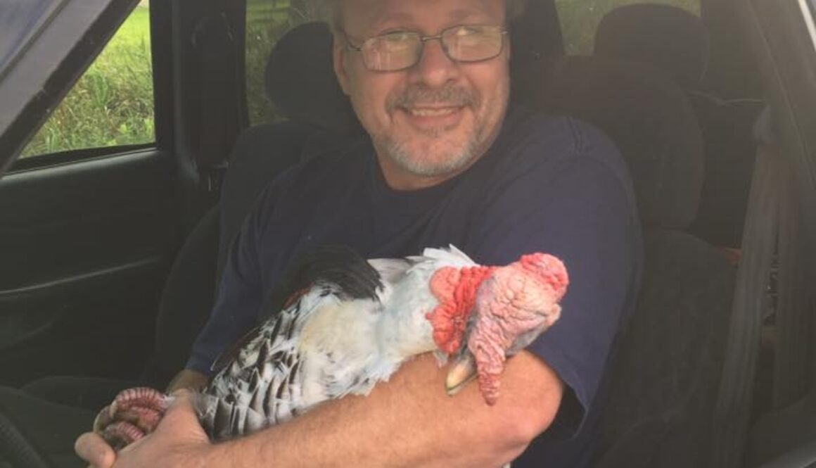 I've Got the Turkey Bob